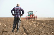 Desacelera empleo en México: Campo resiste en San Luis Potosí