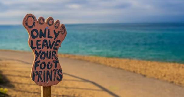 Thad Rice on How a Zero-Waste Lifestyle Led to Unexpected, Life