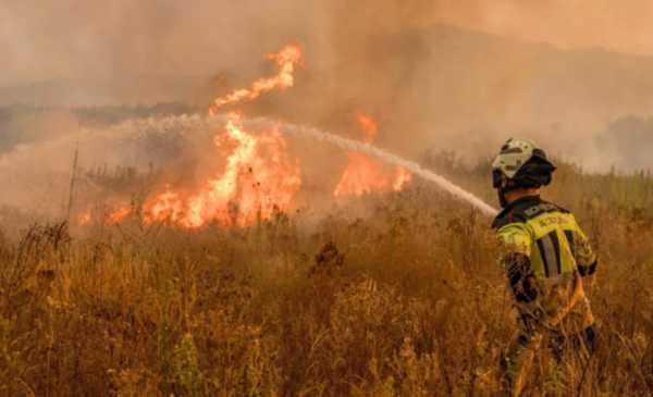 Los daños causados por incendios forestales en la UE se cuadruplicaron este año