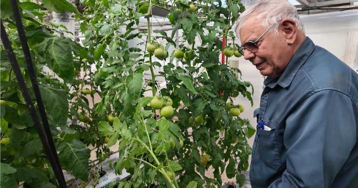 Bell’s Nursery family named Alaska’s 2025 Farm family of the year