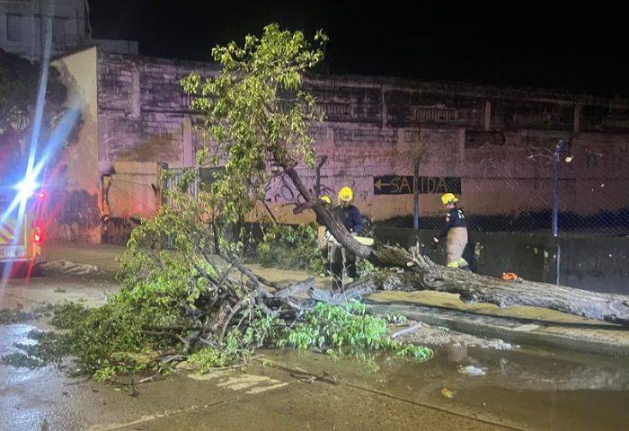 Bomberos atendió emergencia por árbol caído en la Avenida del Ferrocarril
