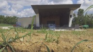 Jeffersontown looking for someone to run amphitheater: 'They're going to see Jeffersontown'