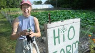 Their farm to their own restaurant table: Detroit's HiO Farm