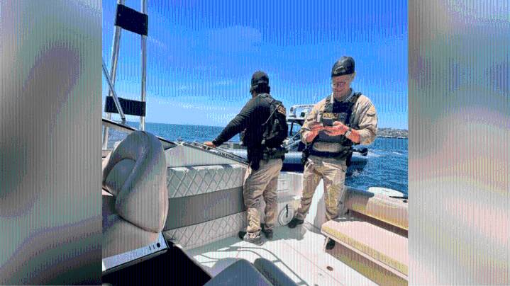 Federal agents board Lakewood councilmember's boat, ask for papers