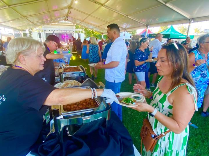‘Ag-citing’ Gala opens Yolo County Fair