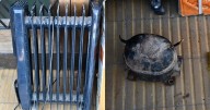 Robaron estufas y un motor de heladera de una casa en Capital: detuvieron a tres menores