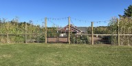 Salomon Farm Park inviting community to cider tasting experience