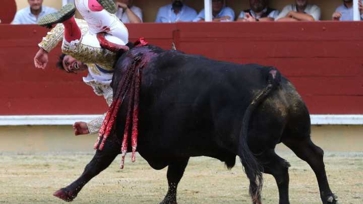 El matador colombiano Juan de Castilla, intervenido en Francia por dos graves cornadas