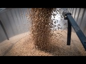 Trump Urges China to Massively Step Up Soybean Purchases