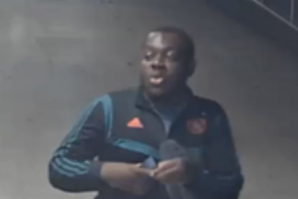 CCTV appeal after woman grabbed by throat in London Bridge sexual assault