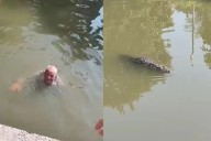 Octogenario desaparecido es localizado en Tampico realizando nado con cocodrilos (Video)