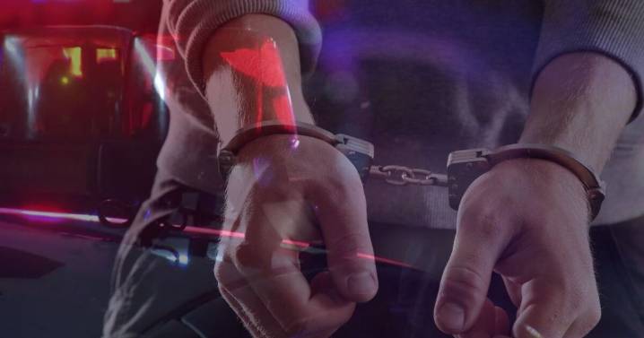 Undercover Northern Arizona drug bust nets 15 arrests, seizes meth and illegal firearms