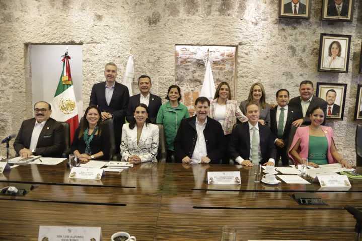 Unidad del PVEM, clave en aprobación de reformas: Ruth González Silva