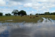 Ondas tropicales amenazan con agravar la emergencia en Barinas tras lluvias históricas
