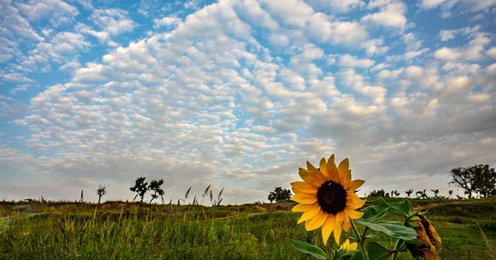 La temperatura iniciará el descenso en un miércoles con chubascos intensos