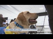 Paris takes next step in service dog journey, says goodbye to NBC4