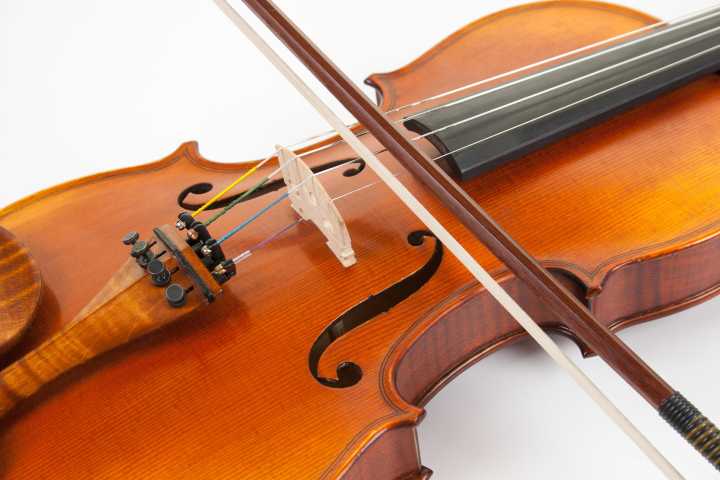 Federal Officials Seek Help Locating Stolen 1710 Amati Violin