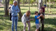 'Ayúdale a volar' libera 15 ejemplares de aves huérfanas