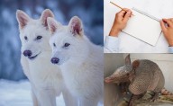 ¿Qué se celebra hoy, 13 de agosto?; conoce las efemérides de este miércoles