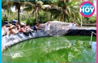Puerto Morelos impulsa la acuacultura para fortalecer su economía