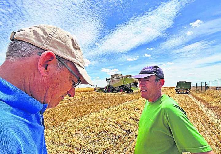 «El precio del trigo no acompaña»