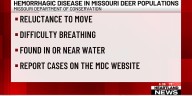 Hemorrhagic disease in Missouri deer populations