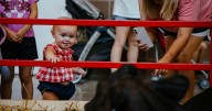 Let's go to the state fair! We're taking a tour of America's favorite summer tradition