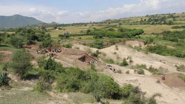 Stone Age humans were picky about which rocks they used for making tools, study finds