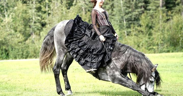 Cirque Ma'Ceo presents artistry of horses and humans this weekend