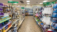 The Affordable Dollar Tree Essential That Instantly Organizes Your Bathroom Accessories