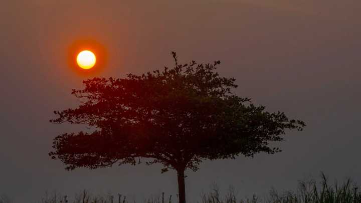Is lack of forest management to blame for Canadian…