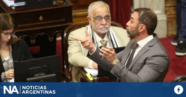 Más presión para el Gobierno: el Senado dictaminó el proyecto de financiamiento universitario
