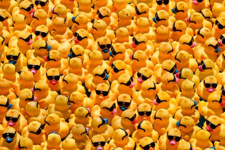 The Chicago Ducky Derby Brings 100,000 Rubber Ducks to the Chicago River