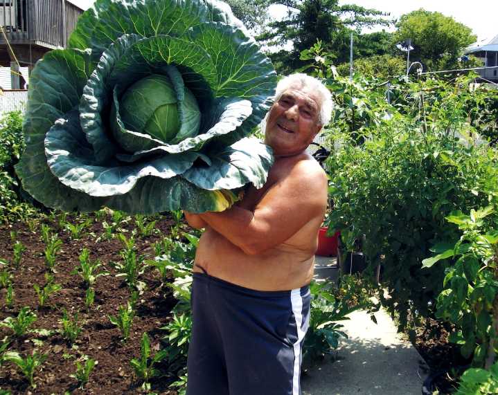 Locally Grown Contest: How to enter Staten Island's 2025 produce competition