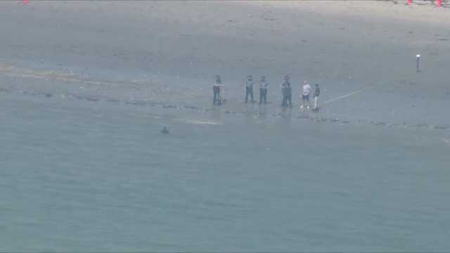 Investigation launched after body found on Revere Beach