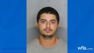 Florida father charged after 'violently shaking' baby: sheriff
