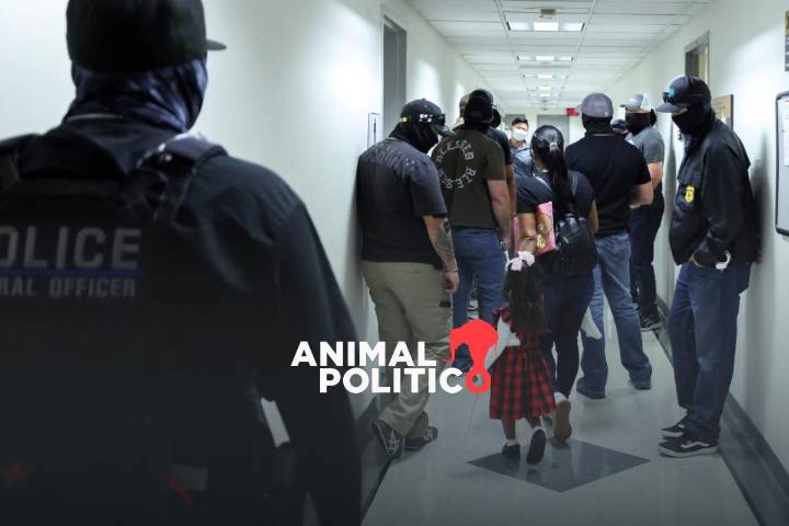 Jueza ordena desmantelar centro de detención de migrantes "Alcatraz de los Caimanes" en Florida