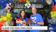 Clear the Shelters 2025!