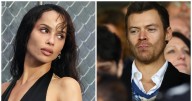 Harry Styles Sparks Romance Rumors With Nepo Baby Actress
