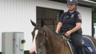 IMPD unveils new facility for mounted patrol