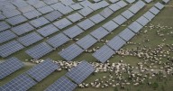 China rushes to build out solar, and emissions edge downward