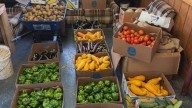 Garden Walks with Judy: How a local farm is reducing food insecurity