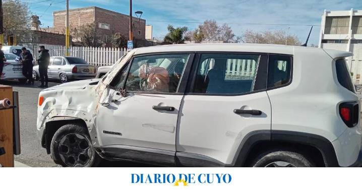 Una conductora estrelló su camioneta contra un árbol en la puerta de Urgencias del Hospital Rawson