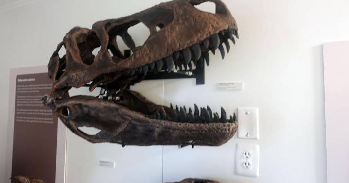 Virginia Museum of Natural History advances, but state funding remains a challenge