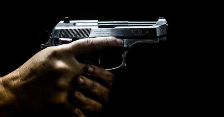 Panel rules two Tennessee gun laws unconstitutional