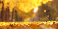 “False Fall” bringing a temporary cool down and potentially record cool nights