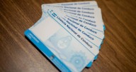 Advierten sobre estafas para obtener la Licencia de Conducir