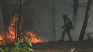 27 detidos e 83 investigados desde o 1 de xuño por incendios forestais en toda España