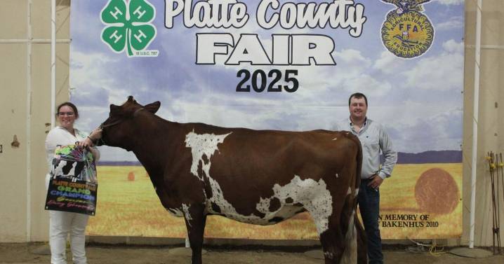 2025 Platte County Fair Dairy Show champions