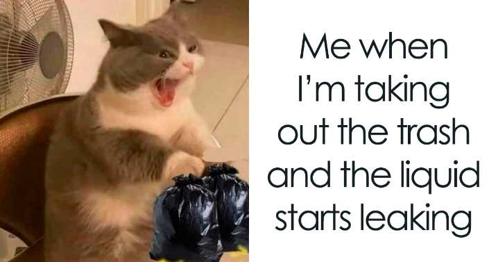 80 Funny And Cute Animal Memes That Might Give You A Reason To Smile Today (New Pics)